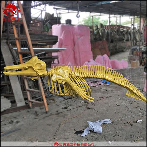 海豚河豚鲸鱼鲨鱼骨架化石古生物玻璃钢化石树脂动物骨架标本定做