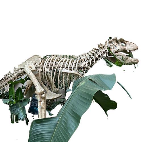霸王龙仿真骨架模型玻璃钢蛋壳考古研学自贡恐龙大型工厂生产