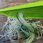 土豆擦丝器擦丝神器插菜板家用土豆丝切丝器厨房洋芋擦擦瓜刨丝器