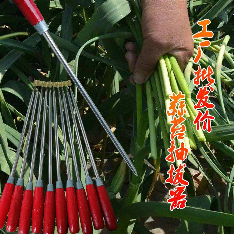 蒜苔收割刀抽蒜苔神器抽蒜薹抽蒜苔的工具剥收蒜薹刀拔蒜苔刀收割