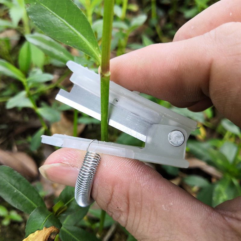 葡萄掐须刀疏果神器掐尖神器拇指刀摘果子神器采摘神器摘豆角神器