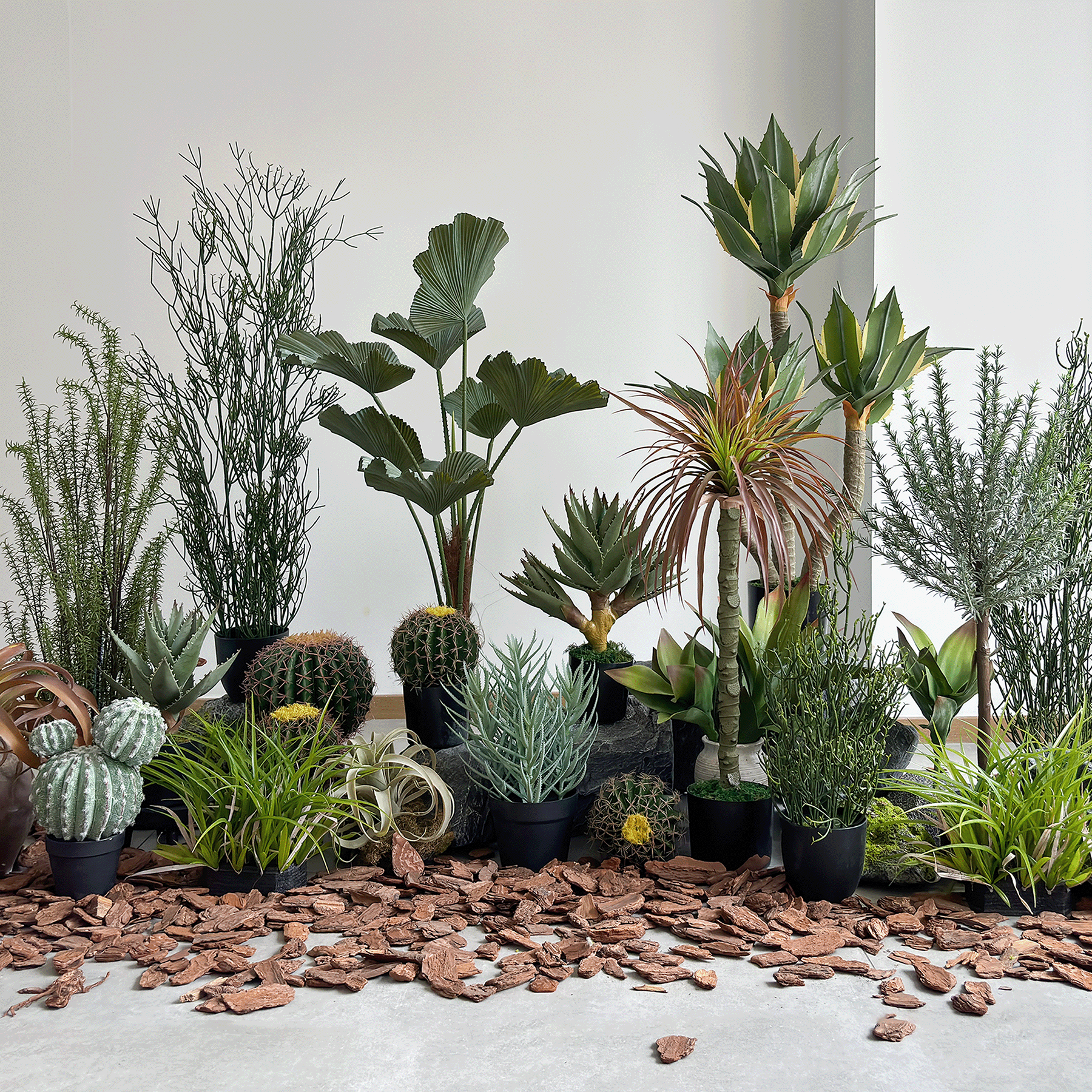 仿真沙漠绿植造景酒店民宿玄关