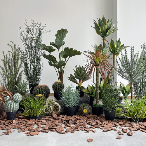 仿真沙漠绿植造景酒店民宿玄关