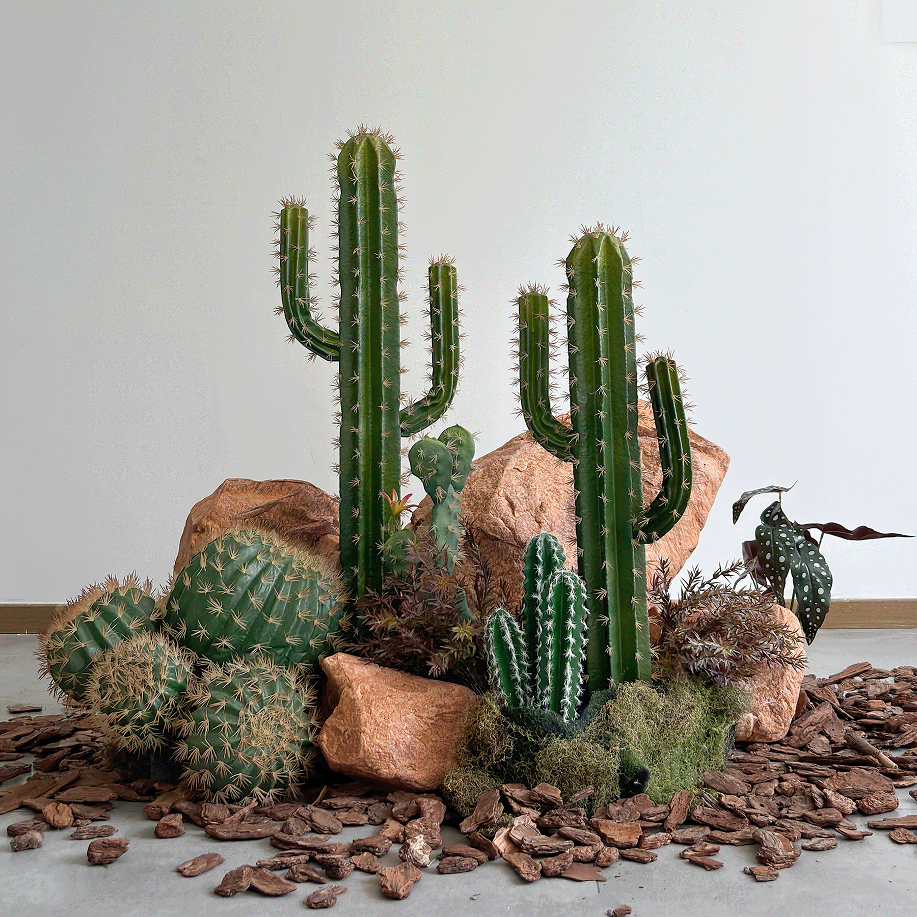 仿真仙人掌造景摆件窗楼梯下橱窗