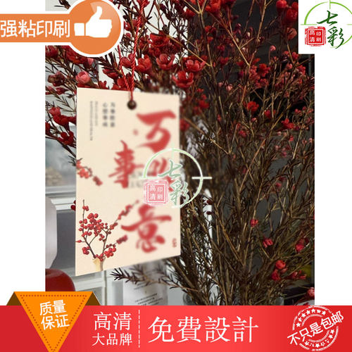 植物新年吊牌定制红色文案祝福装饰设计标签卡片年味宣传礼盒包装
