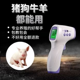 动物体温枪猪用高精度测量兽用体温表宠物猫猪羊温度计 测温牛马