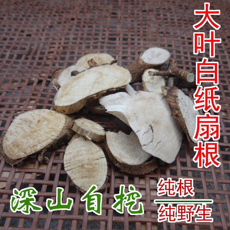 野生臭叶树根 中药材大叶白纸扇根 大叶靛青 纯根 新鲜干片 500g