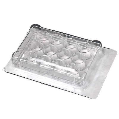 tc处理细胞培养板u底一次性灭菌