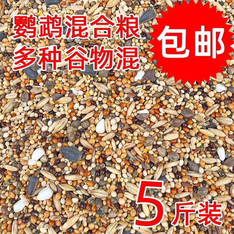 黄谷子5粮食斑鸠食物黍珍珠鸟大颗粒鹦鹉活鸟优质饲料鸟粮壳杂粮