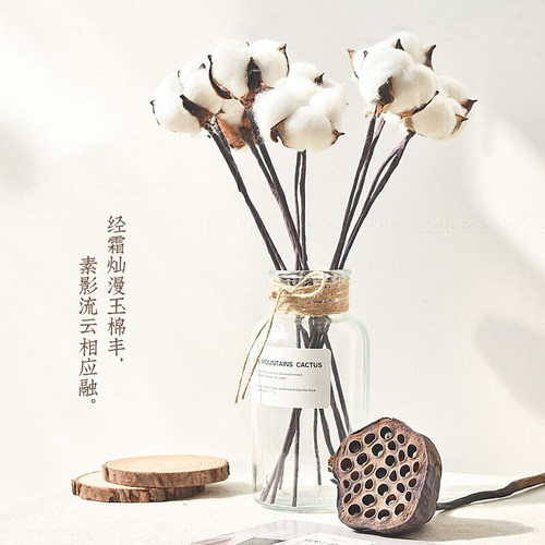 网红ins小花瓶家居装饰
