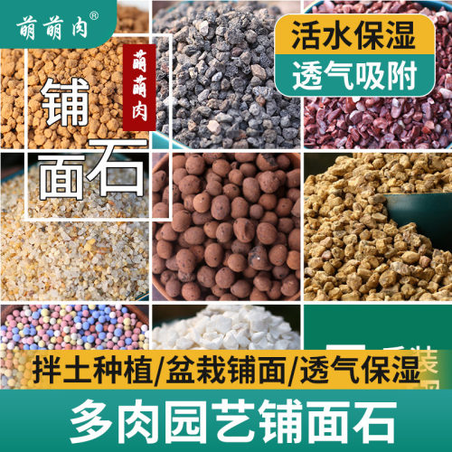 萌萌肉多肉铺面专用土