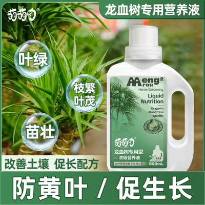 萌萌肉龙血树专用肥料营养液盆栽植物室内绿植养花肥通用氮磷钾肥