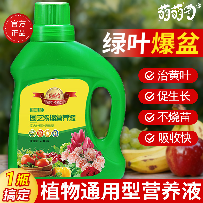 植物通用型营养液家用养花卉