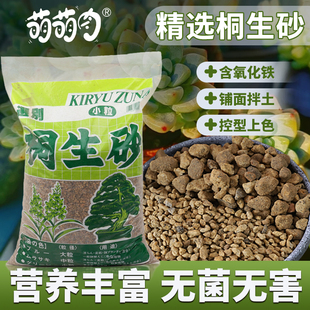 桐生砂养花种植专用原装 进口微观盆景颗粒种植多肉植物造景桐生砂