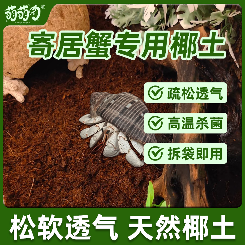 寄居蟹专用椰土免泡发