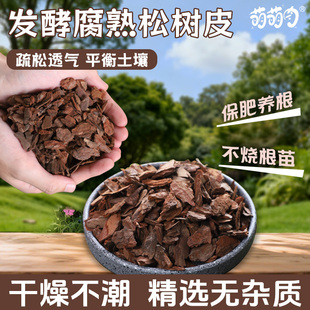 松树皮腐熟发酵兰花君子兰植料石斛颗粒疏松透气蝴蝶兰营养土专用