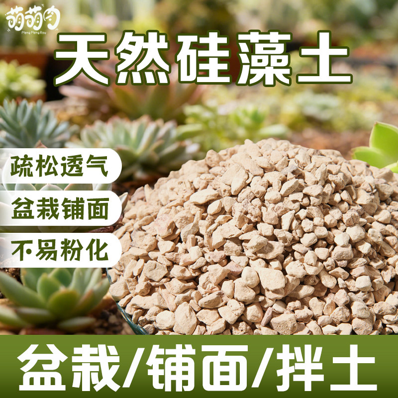 硅藻土颗粒兰科通用植料园艺铺面石多肉颗粒花卉种植拌土保湿透气,鲜花速递/花卉仿真/绿植园艺,土壤覆盖物,淘宝优惠券,粉丝福利购,淘宝优惠卷