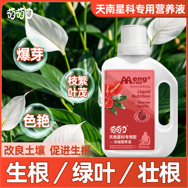 萌萌肉天南星科专用肥料营养液室内盆栽植物绿植促开花生根壮根肥