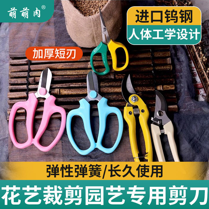 萌萌肉园艺剪刀宽头家用鲜花