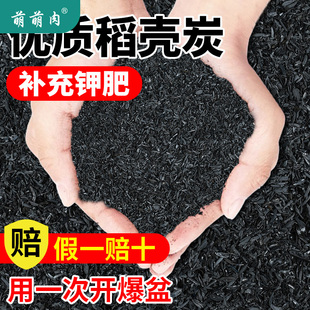 稻壳炭天然钾肥天然纯草木灰砻糠灰稻壳炭农家肥有机肥花肥