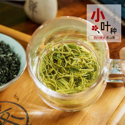 小叶种毛峰绿茶蒙顶山茶2024新茶