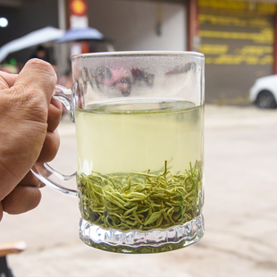 茶农直销 蒙顶毛峰绿茶2025新茶四川雅安名山茶叶 素毛峰蒙顶山茶