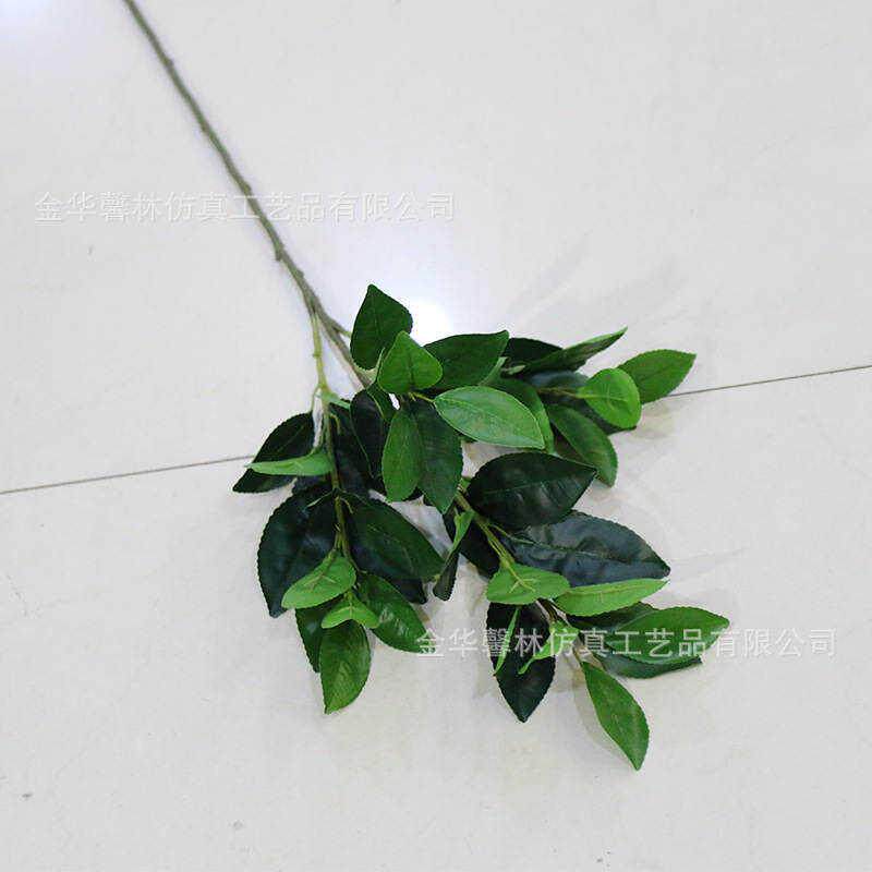 精品桔子叶香泡树仿真树叶绿景园林装饰柠檬叶柚子叶冬季小区叶子