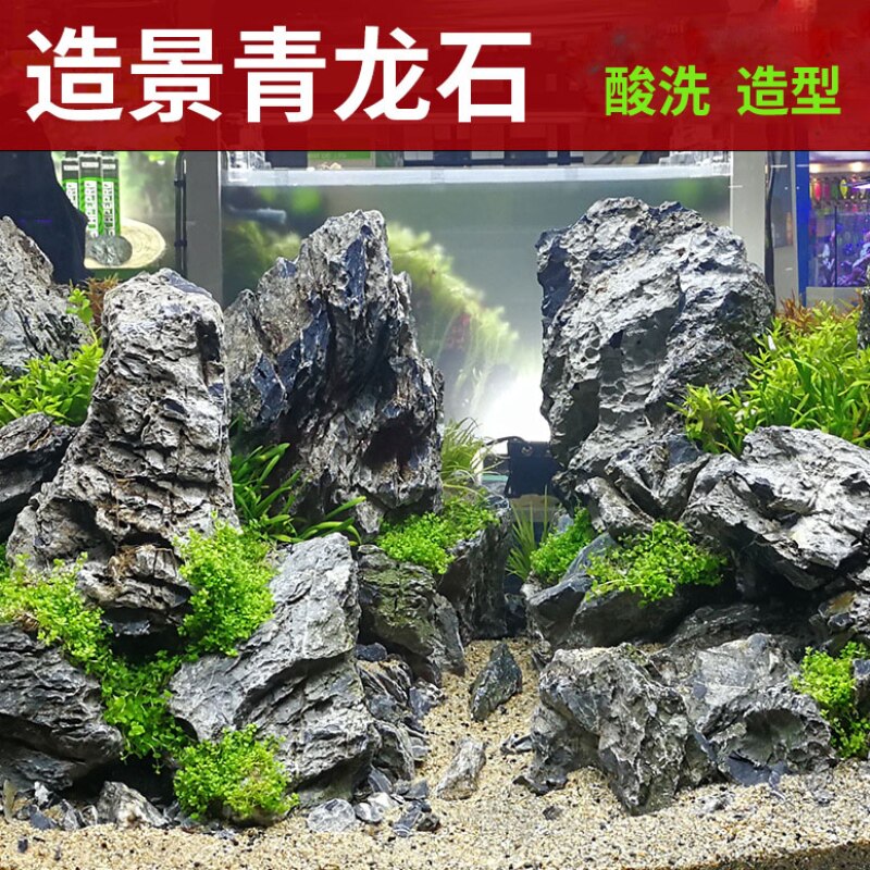 轻石 水族 造景莫斯浮石阿凡达造景水族缸鱼缸造景好养水草创意造