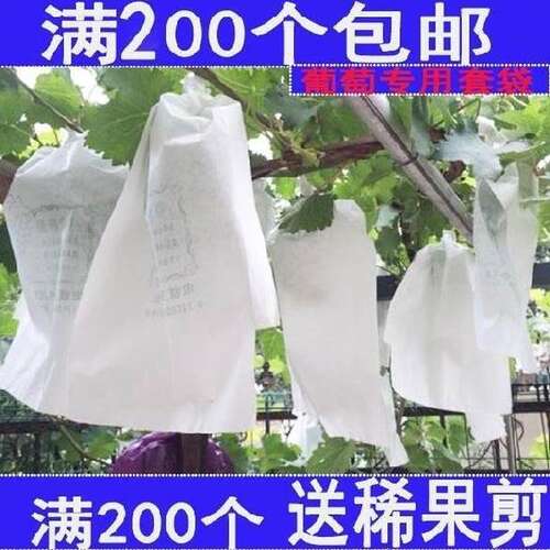 释迦果套袋病害水果专用葡萄柚遮光猕猴桃防果蝇保护纸袋子不透明