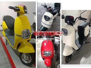 红鹰小米咖 小金鼠全套电动车外壳灯具  颜色定制 适配台铃 小刀