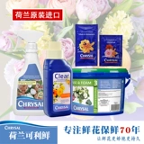 Импортированный голландский свежий Fresh Flower Fresh Fresh Spectaination Nutrition Slutin Lily Universal Bag Shop