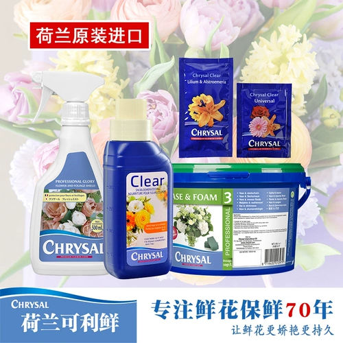 Импортированный голландский свежий Fresh Flower Fresh Fresh Spectaination Nutrition Slutin Lily Universal Bag Shop
