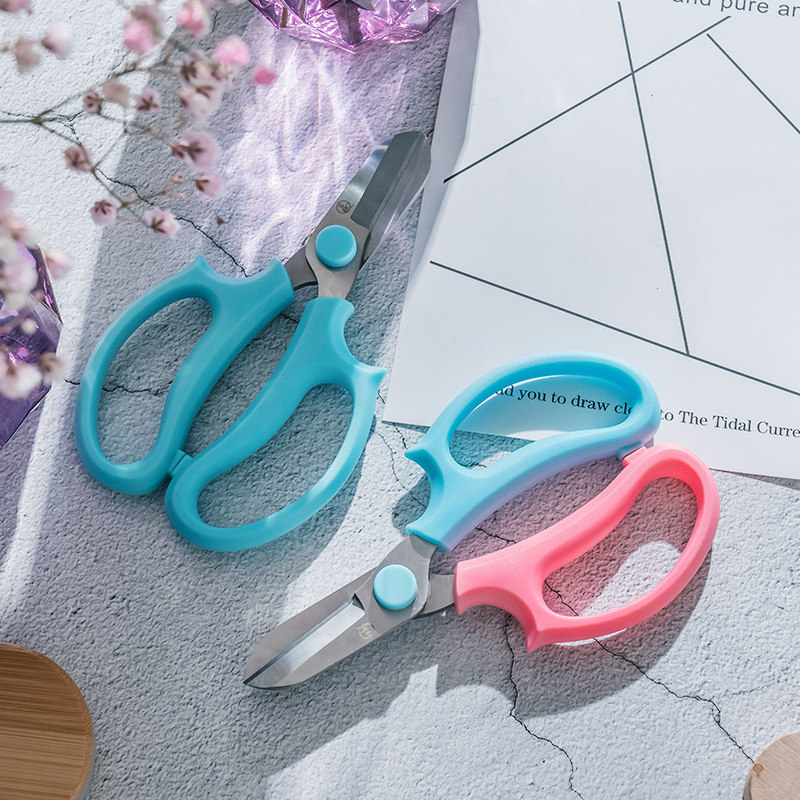 插花剪园艺花艺剪刀家用宽头花剪鲜花花道剪花枝树枝修花修枝工具,鲜花速递/花卉仿真/绿植园艺,剪刀,淘宝优惠券,粉丝福利购,淘宝优惠卷