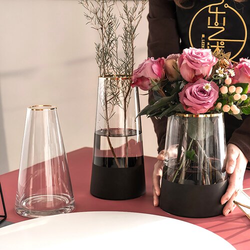 22年最新款玻璃花瓶圆肚大肚子北约简约摆件客厅插花电视柜两边的