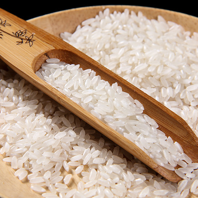 黑龙江五常大米东北特产2.5kg掌中禾当季新米长粒香帝稻香米现磨