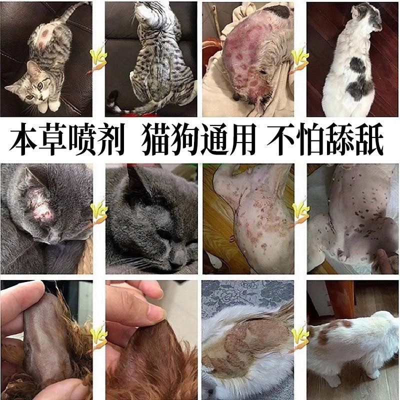猫癣外用喷剂狗狗真菌细菌皮肤病非药猫藓专用喷雾猫咪清洁护理