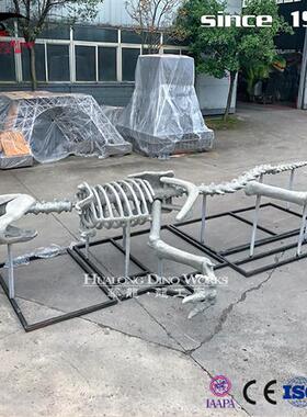 玻璃钢霸王龙化石骨架树脂混合材质商场中庭美陈自贡恐龙厂家