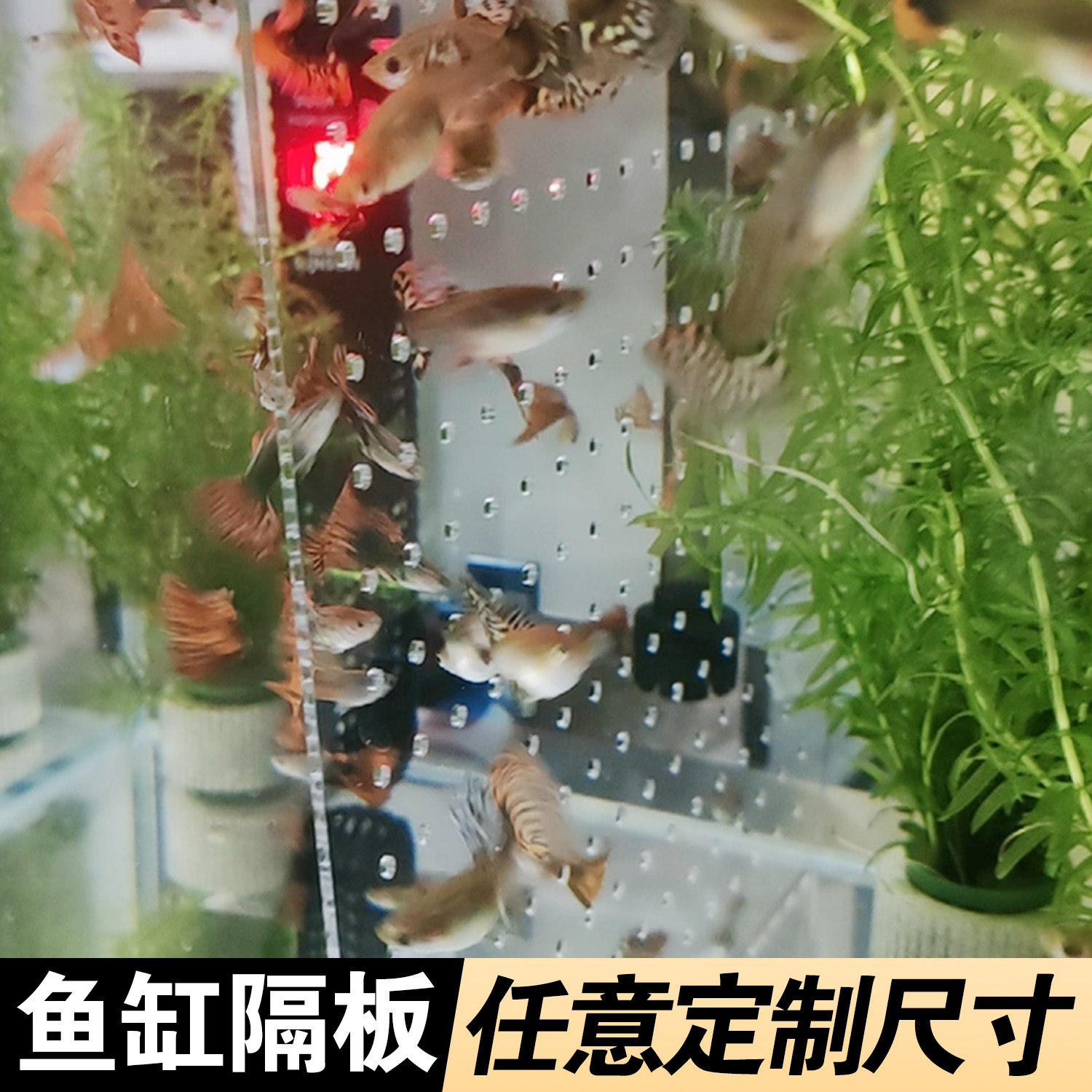 鱼缸隔离板隔板透明亚克力板挡板盖板挡鱼水族箱分离板隔断隔离网鱼缸隔板幼鱼隔离板隔断加工任意定制定做