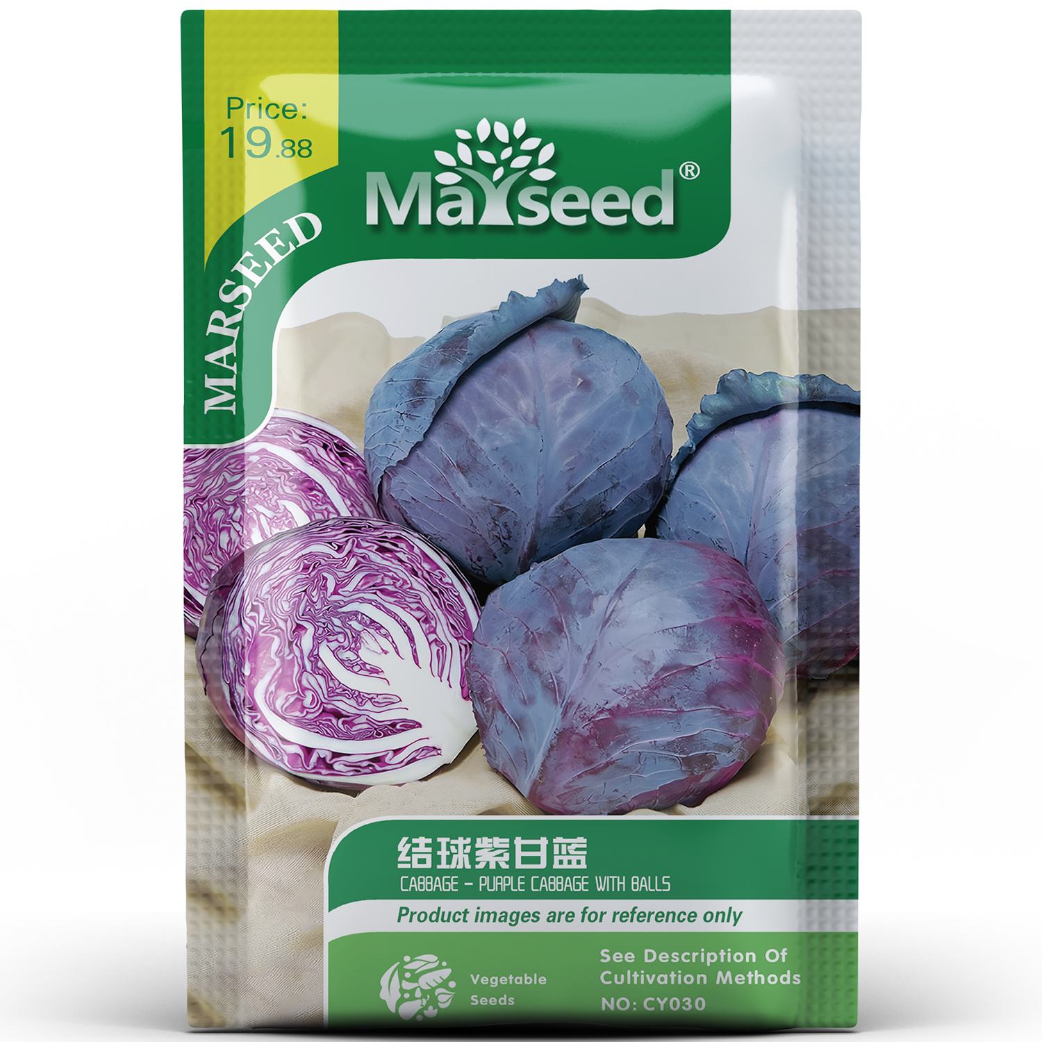 早熟高产结球紫甘蓝阳台庭院紫色卷心菜蔬菜四季易种植种孑子籽