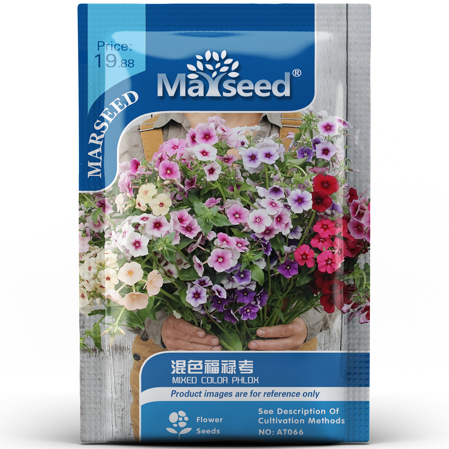 混色绚丽源自墨西哥福禄考矮生阳台盆栽庭院室外景观花卉种子种苗