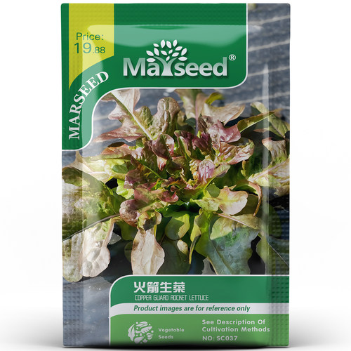新奇叶直立铜卫兵火箭生菜清脆爽口株型紧凑庭院盆栽易活种孑子籽