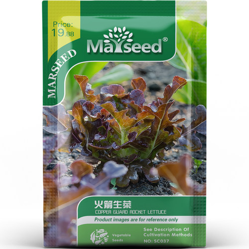 火箭生菜种子种苗挺拔箭叶辛辣风味三明治配菜盆栽佐餐蔬菜C188