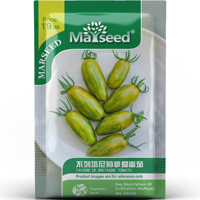 不列塔尼挚爱番茄种子种苗垂吊盆栽黄绿条纹蜜甜微酸高产蔬菜C002