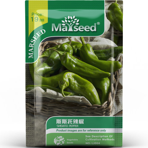 趣味薄皮斯斯托辣椒小巧玲珑烟熏风味蔬菜种子种苗盆栽易管理A208