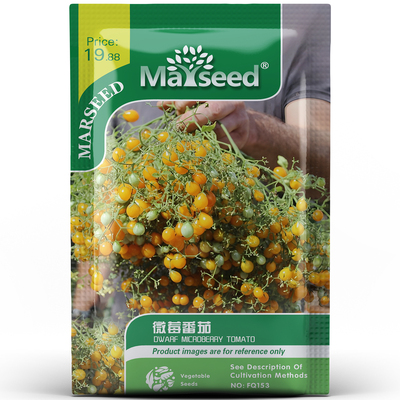 超高产黄色千花型微莓番茄种孑子籽 小巧可爱清甜可口庭院易种植