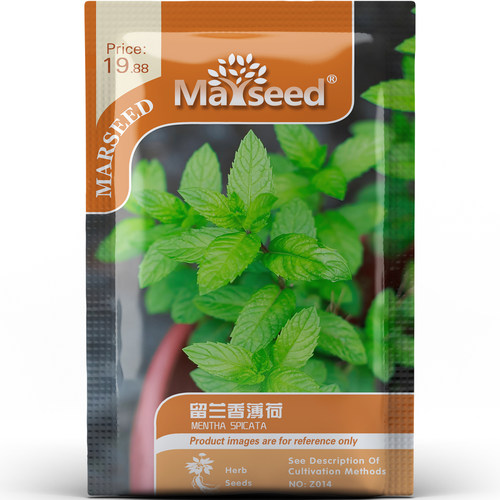 留兰香薄荷种子种苗清新风味酱料调配厨房精选盆栽地栽香草C151