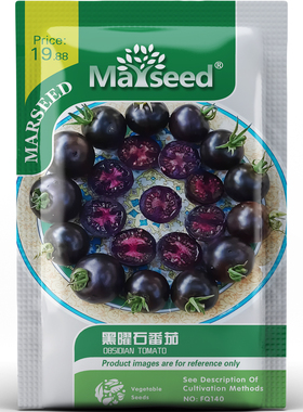 黑曜石番茄种子种苗黑玛瑙光泽皮薄高甜爆汁高花青素盆栽蔬菜C077