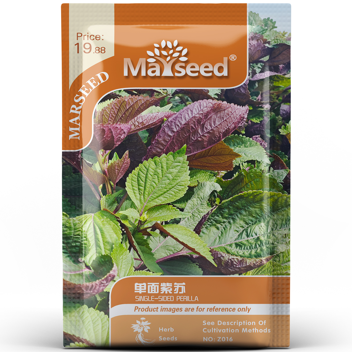 可食用单面紫苏调味叶片种孑子籽