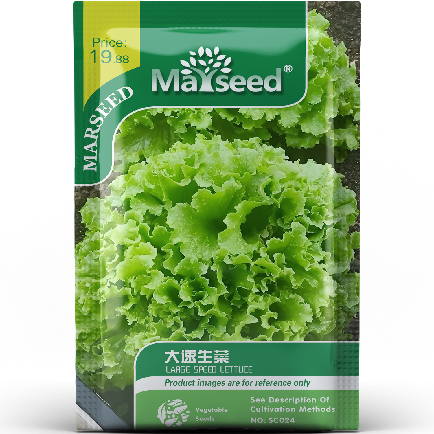 大速生菜种子种苗舒展嫩绿亮绿锯齿叶子速生清甜爆汁脆嫩蔬菜C175