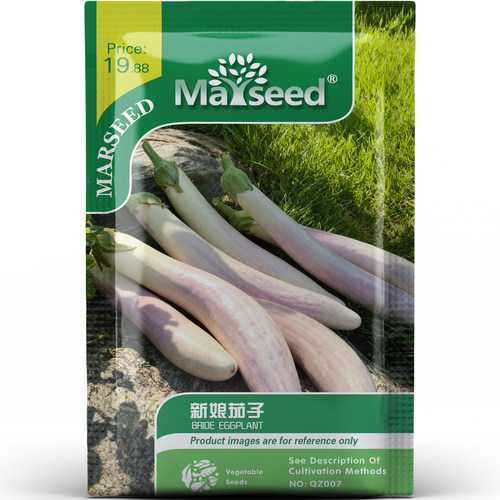 特色品种新娘茄子颜值口感兼具阳台庭院烹饪好吃蔬菜种子种苗A195